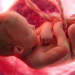 رشد جنین در ماه نهم بارداری