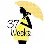 هفته سی و هفتم بارداری