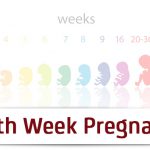 وضعیت مادر و جنین در هفته چهلم بارداری